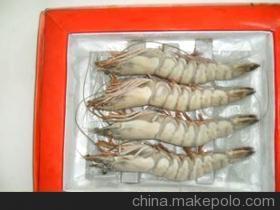 優(yōu)質鮮活龍蝦與水產(chǎn)批發(fā)，廠家直銷保障品質