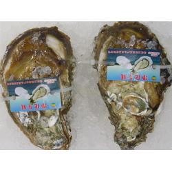 湛江市金屬材料貿(mào)易與日用百貨銷售行業(yè)的發(fā)展與前景