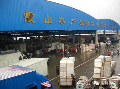 讓天下沒有難賣的魚蝦！探秘中國(guó)主要水產(chǎn)品批發(fā)市場(chǎng)