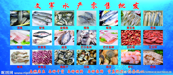 水產品批發 連接海洋與餐桌的關鍵紐帶