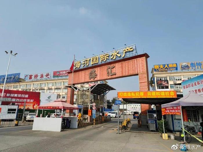 加拿大北極蝦，新鮮直供廣州海河水產批發市場